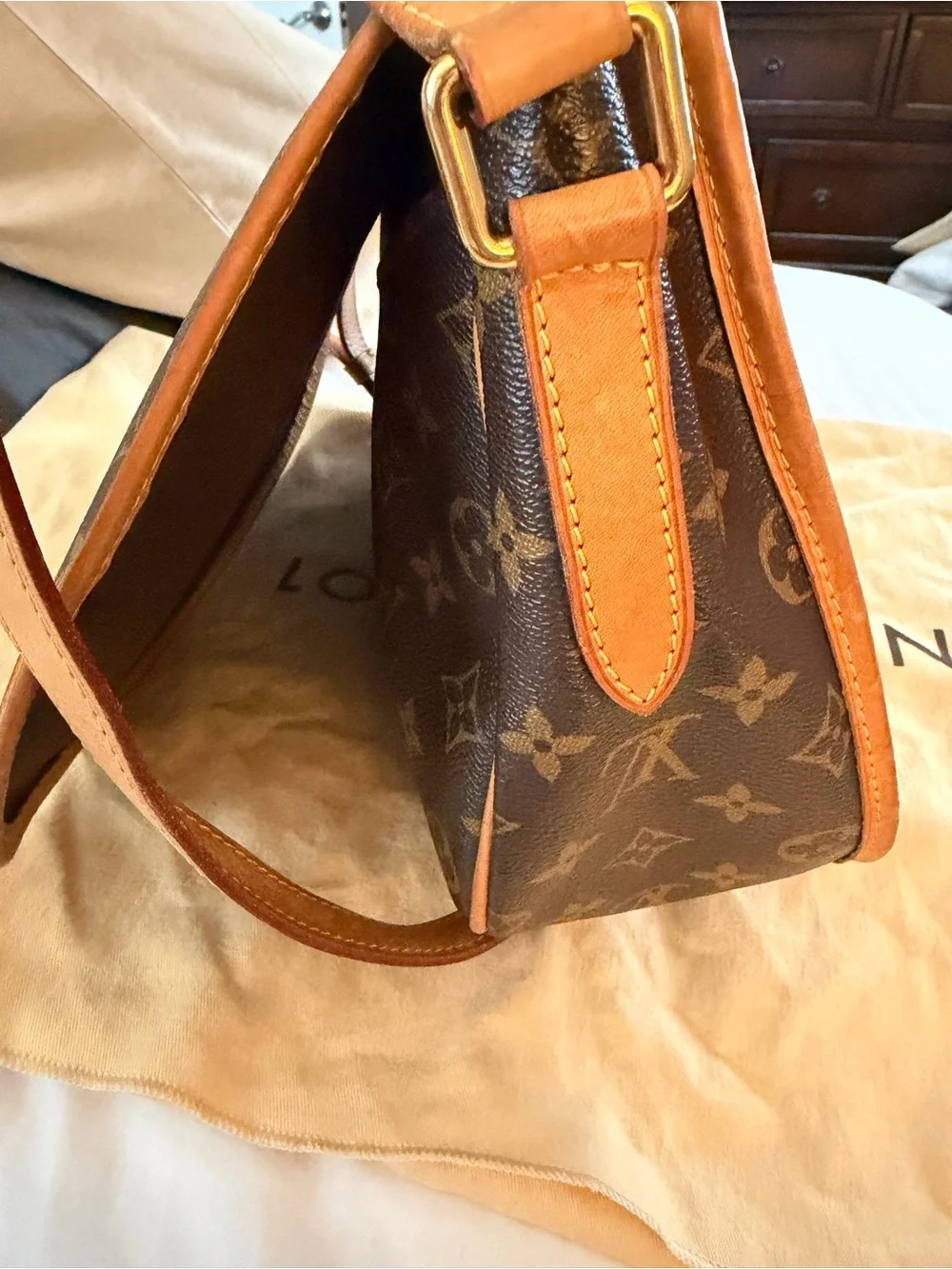 Louis Vuitton authentic louis